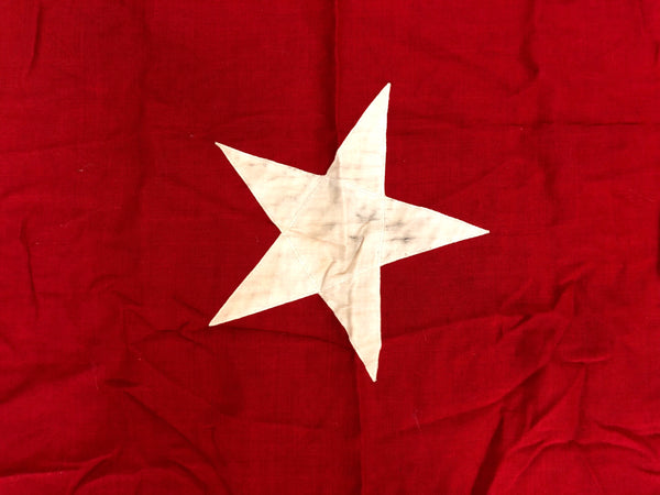 PERSONAL COLLECTION: RARE VINTAGE JANE LONG LONE STAR FLAG (read description)