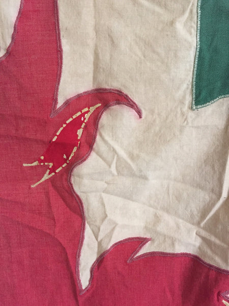 1950'S ALLIED ARTS OF SEATTLE WASHINGTON FLAG