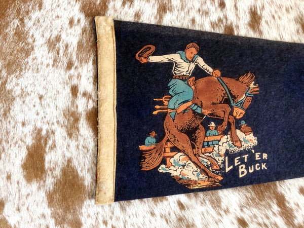 VINTAGE TEXAS PENNANT